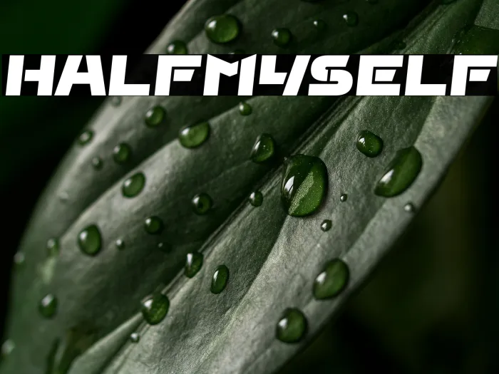Half Myself Example 3