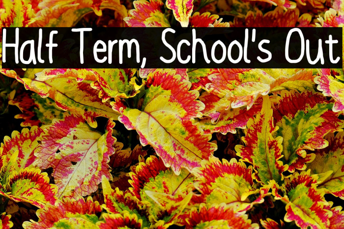 Half Term, School's Out Example 3