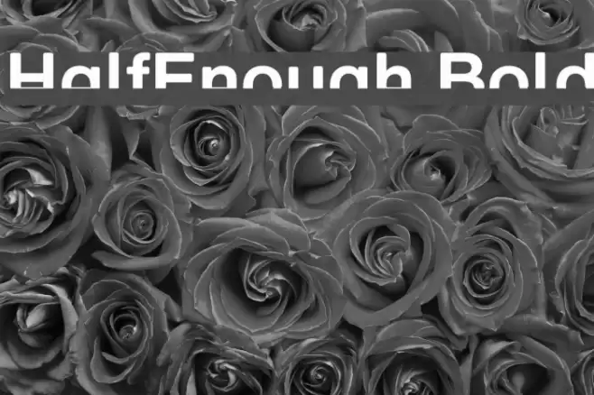 HalfEnough Bold Font examples