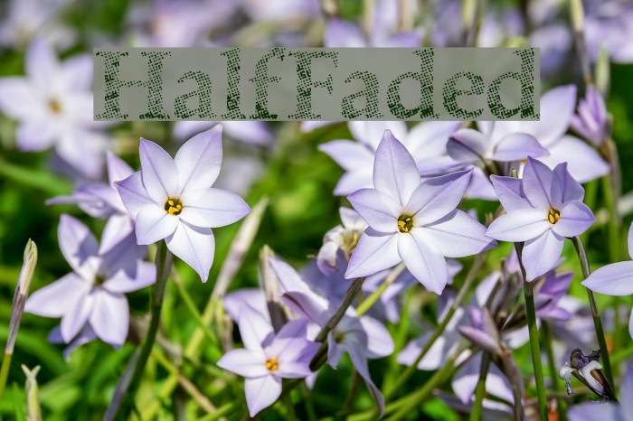 HalfFaded Font examples