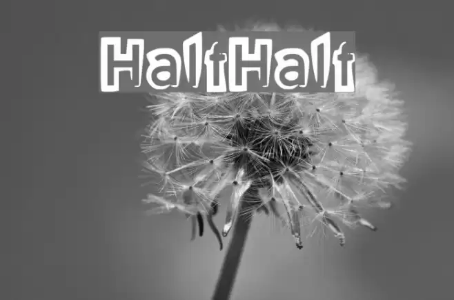 HalfHalf Font examples
