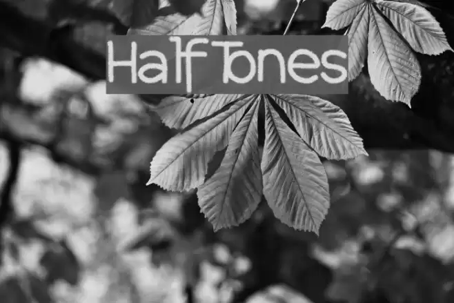 HalfTones Font examples