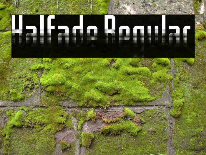 Halfade Regular Font examples