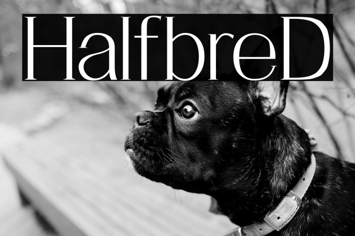 HalfbreD Example 1