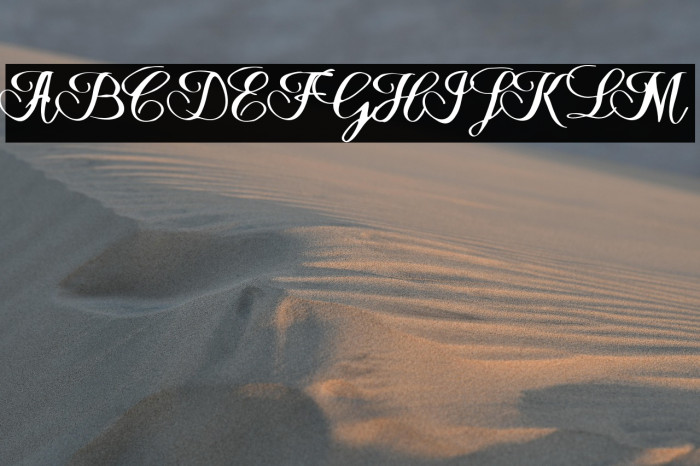 HalfesikaScript-Regular Example 3