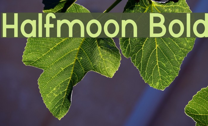 Halfmoon Bold Font examples