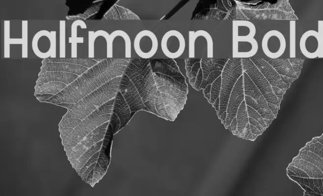 Halfmoon Bold Font examples