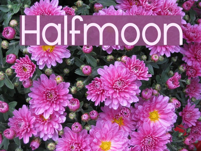 Halfmoon Fonte examples
