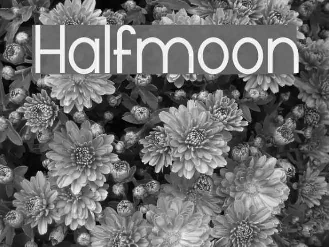Halfmoon Font examples