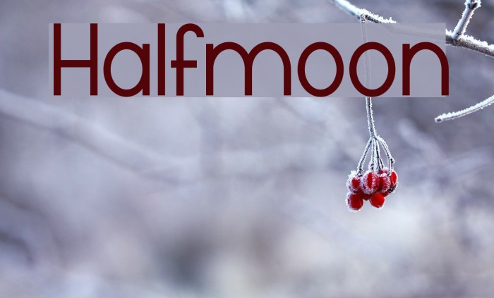 Halfmoon Fonte examples