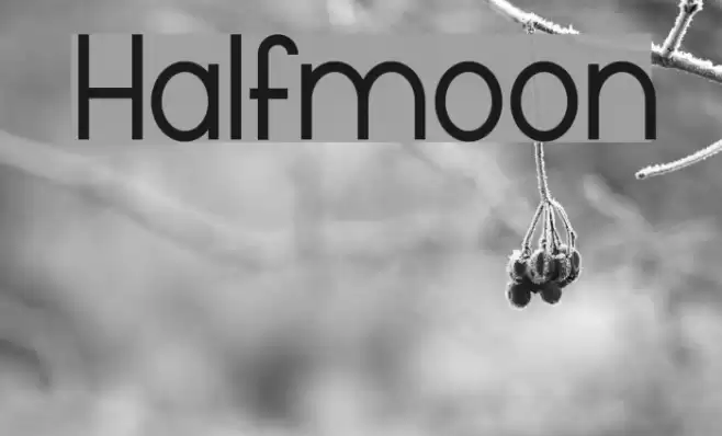 Halfmoon Font examples