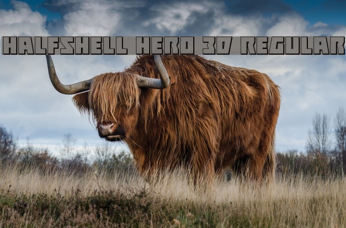 Halfshell Hero 3D Regular Example 1