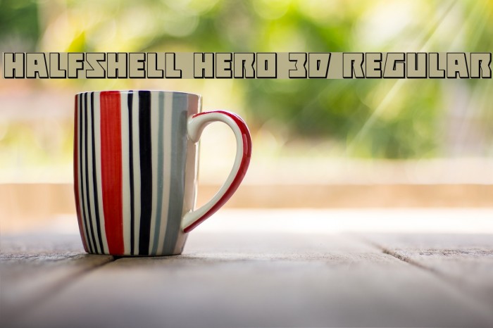 Halfshell Hero 3D Regular Example 3