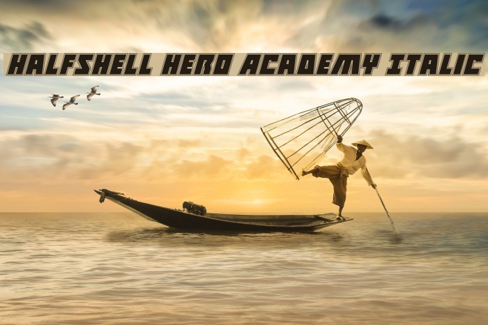 Halfshell Hero Academy Italic Example 3