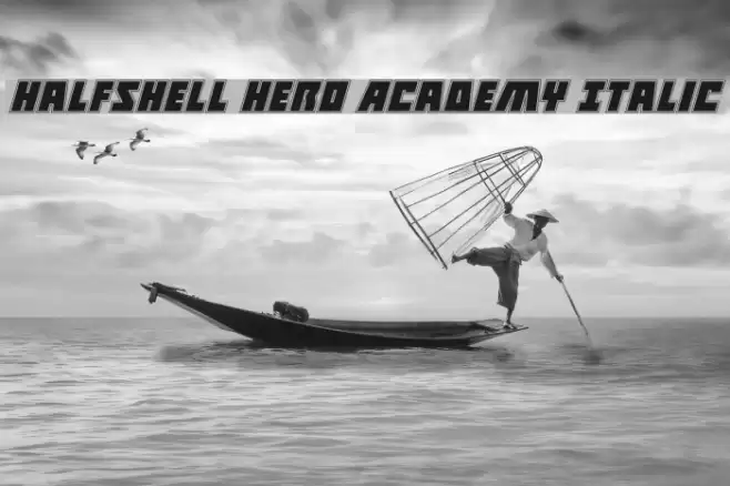 Halfshell Hero Academy Italic Font examples