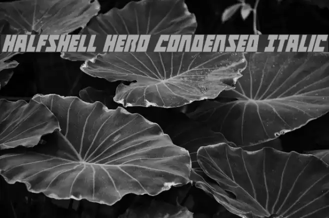 Halfshell Hero Condensed Italic Font examples