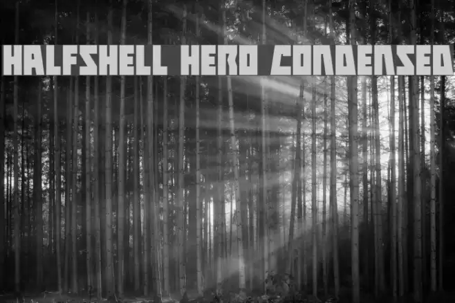 Halfshell Hero Condensed Font examples