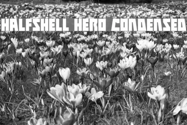 Halfshell Hero Condensed Font examples