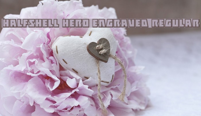 Halfshell Hero Engraved Regular Font examples
