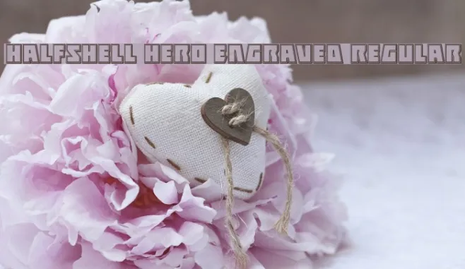 Halfshell Hero Engraved Regular Example 2