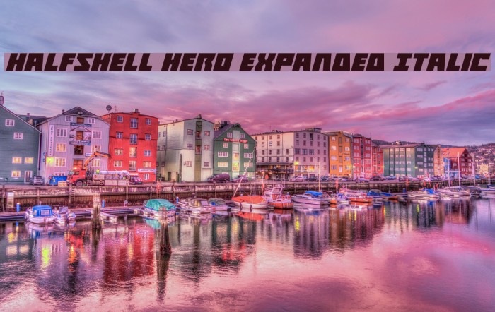 Halfshell Hero Expanded Italic Font examples