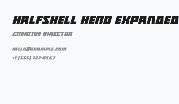 Halfshell Hero Expanded Italic Business Card