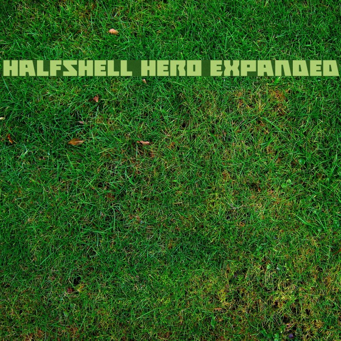 Halfshell Hero Expanded Font examples
