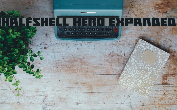 Halfshell Hero Expanded Font examples
