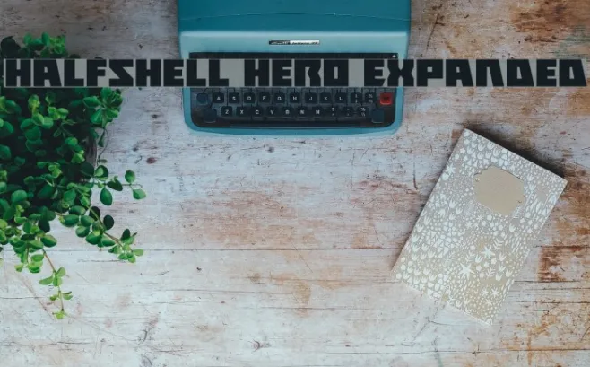 Halfshell Hero Expanded Example 3