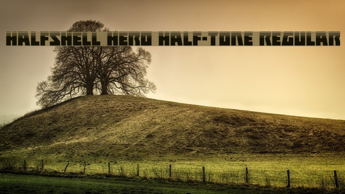 Halfshell Hero Half-Tone Regular Font examples