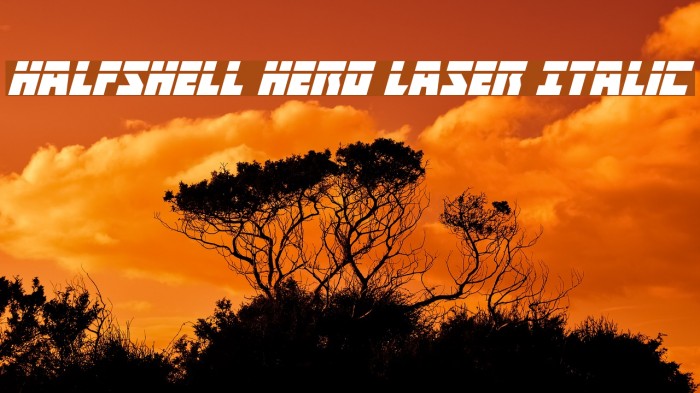 Halfshell Hero Laser Italic Example 3