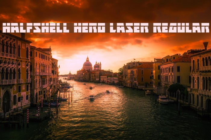 Halfshell Hero Laser Regular Example 2