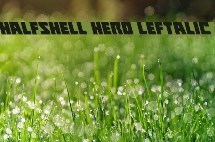 Halfshell Hero Leftalic Font examples