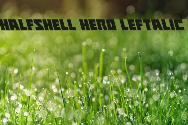 Halfshell Hero Leftalic Example 3