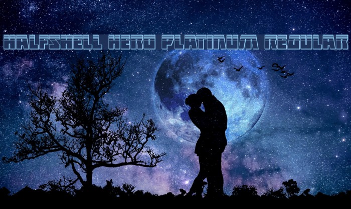 Halfshell Hero Platinum Regular Example 1
