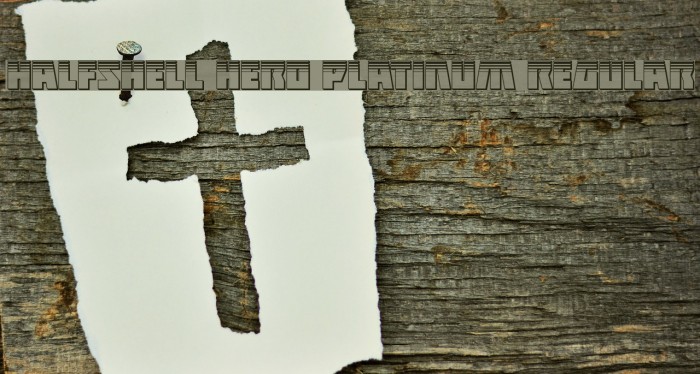 Halfshell Hero Platinum Regular Example 2