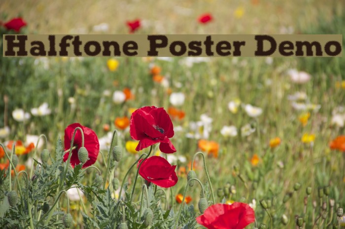 Halftone Poster Demo Font examples