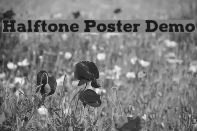 Halftone Poster Demo Шрифта examples