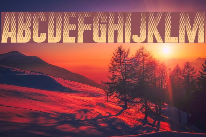 HalftoneNium Font examples