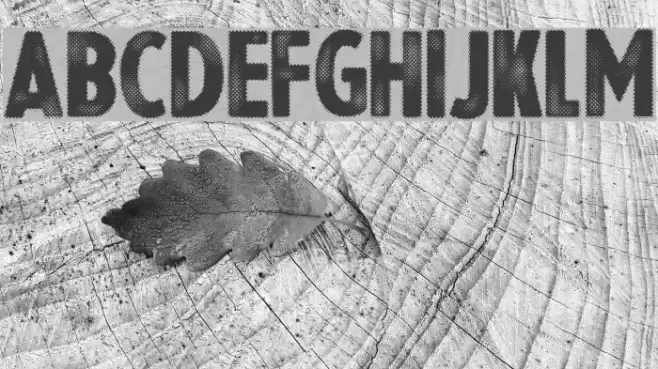 Halftoned Backup Font examples