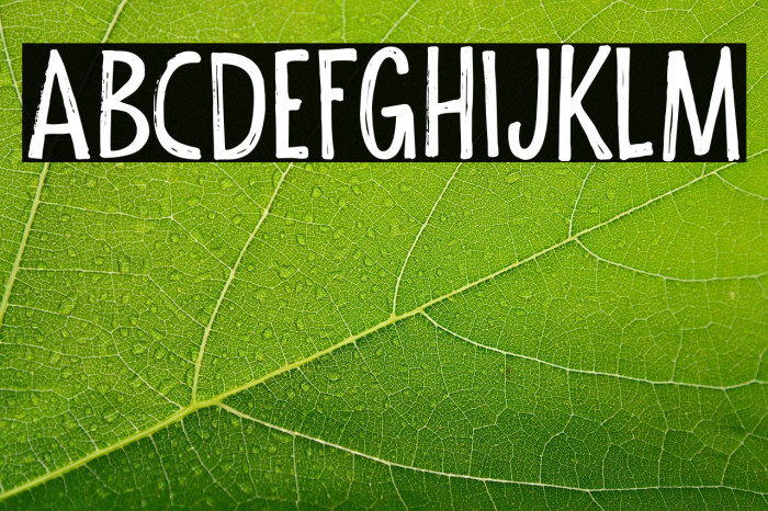 Halfway There DEMO Regular Example 1