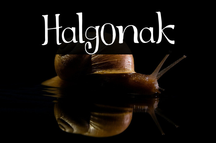 Halgonak Example 1