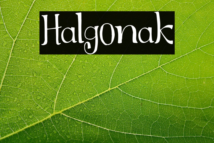 Halgonak Example 2