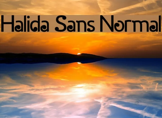 Halida Sans Normal Example 1