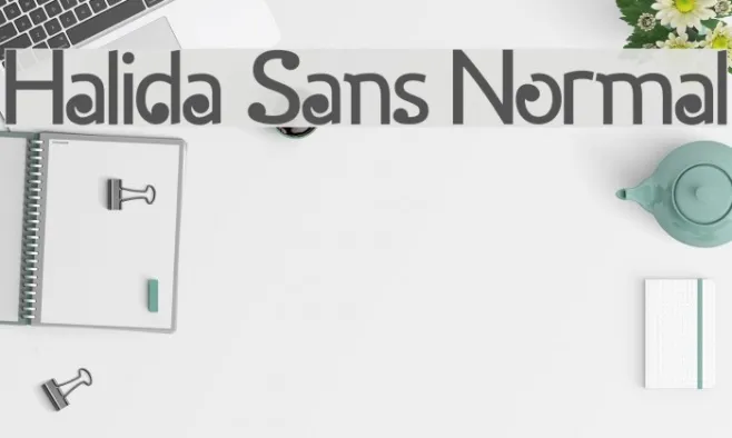 Halida Sans Normal Example 2