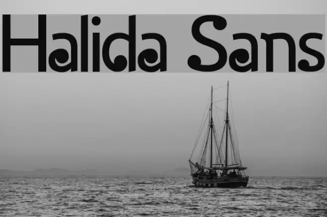 Halida Sans Font examples