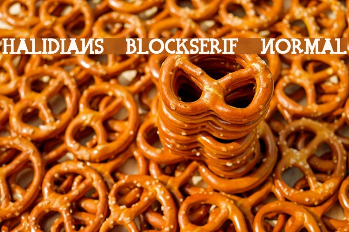Halidians Blockserif Normal Font examples