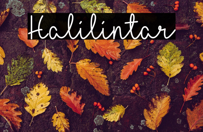 Halilintar Example 1