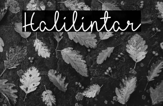Halilintar Font examples