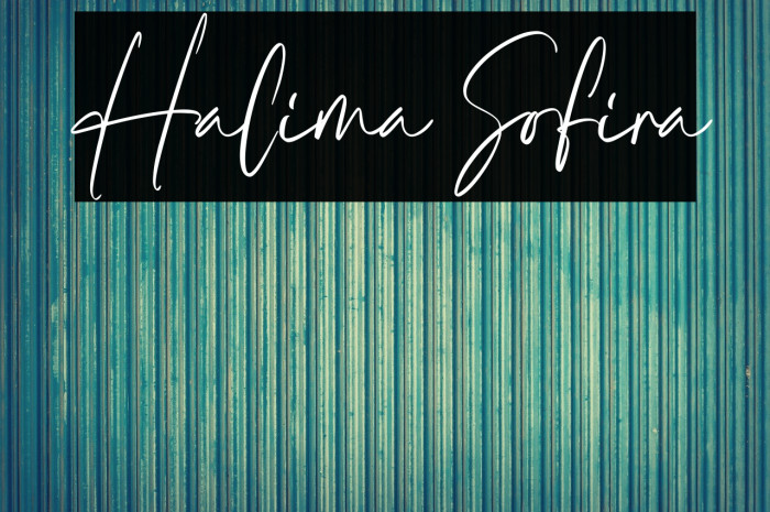 Halima Sofira Example 3